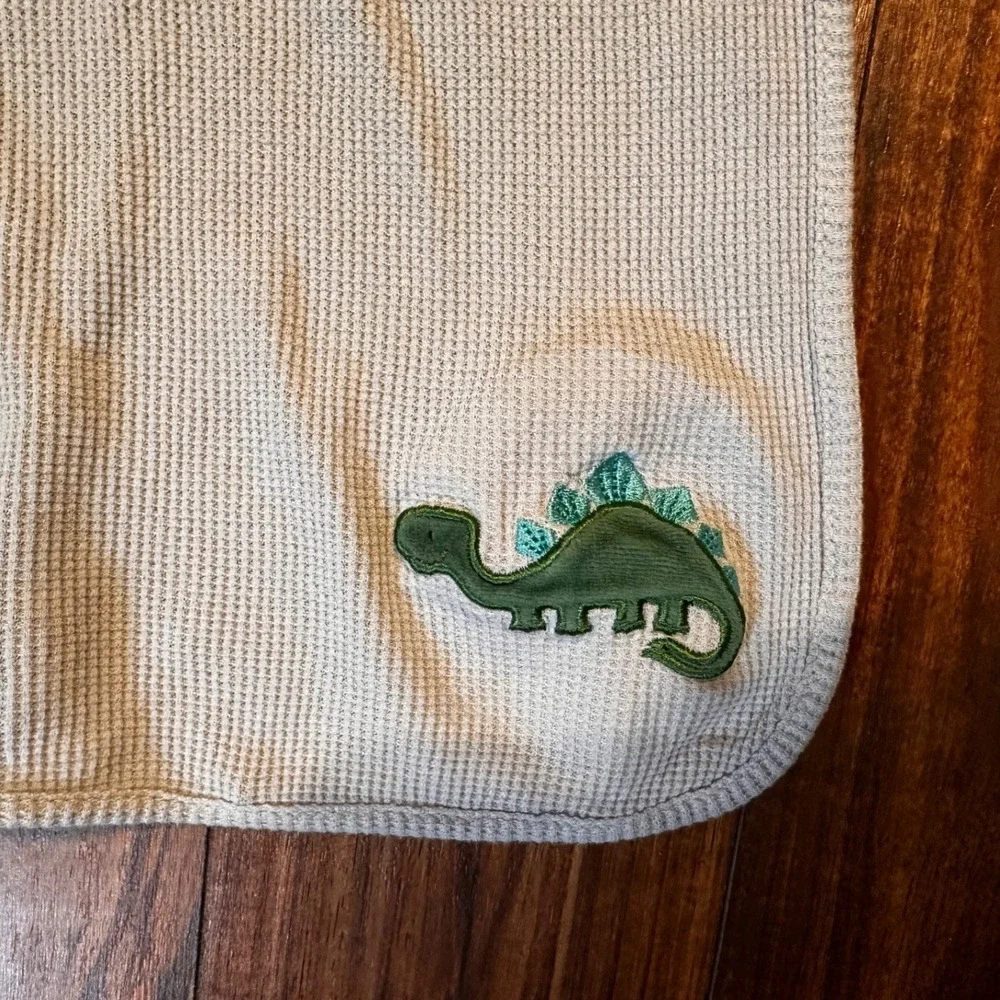 Dinosaur Thermal Baby Blanket Lullaby Brand READ CONDITION RARE 100% Cotton 2020